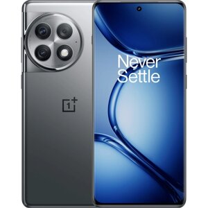 Смартфон OnePlus Ace 2 Pro 24/1 ТБ CN, Dual nano SIM, серый