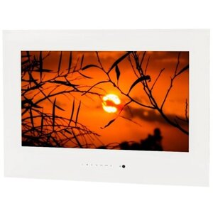 AVEL влагостойкий smart телевизор AVS245SMWF (AVS245SM white)