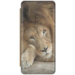 Чехол-книжка на Apple iPhone SE / 5s / 5 / Эпл Айфон 5 / 5с / СЕ с рисунком "Спокойный лев" золотистый