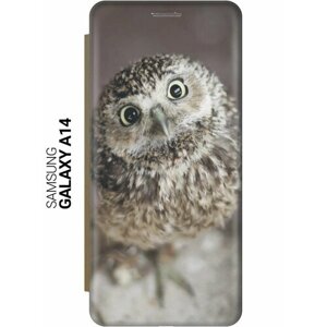 Чехол-книжка на Samsung Galaxy A14, Самсунг А14 c принтом "Удивленная сова" золотистый
