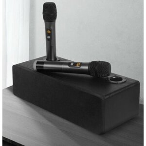Караоке система Bluetooth для с двумя микрофонами для дома
