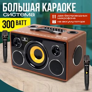 Караоке-система NOIR-Audio "MAX-300" с двумя микрофонами и колонкой