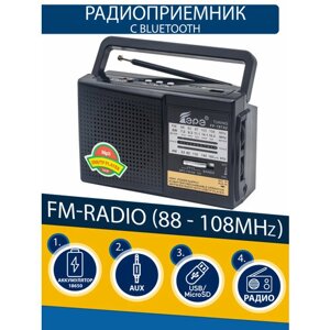 Радиоприемник EPE FP-1973U black