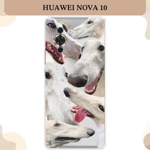 Силиконовый чехол "Собака с длинным носом" на Huawei Nova 10 / Хуавей Нова 10, прозрачный