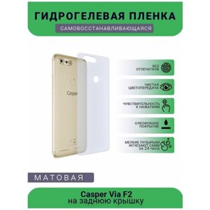 Защитная гидрогелевая плёнка Casper Via F2, бронепленка, пленка на заднюю крышку, матовая