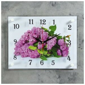 21 Век Часы настенные, серия: Цветы, "Сирень", 30х40 см