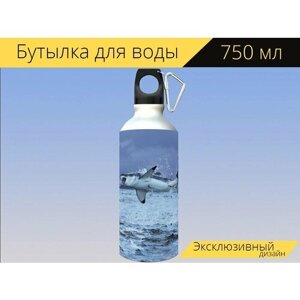Бутылка фляга для воды "Большая белая акула, большой белый, акула" 750 мл. с карабином и принтом