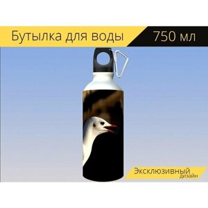 Бутылка фляга для воды "Чайка, птица, животное" 750 мл. с карабином и принтом