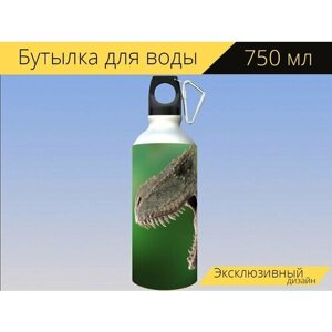 Бутылка фляга для воды "Динозавр, тиранозавр, дино" 750 мл. с карабином и принтом