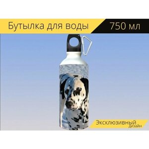Бутылка фляга для воды "Домашний питомец, собака, далматинец" 750 мл. с карабином и принтом
