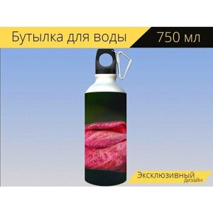 Бутылка фляга для воды "Гибискус, цвести, красный" 750 мл. с карабином и принтом