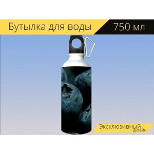 Бутылка фляга для воды "Голубика, черника, макрос" 750 мл. с карабином и принтом