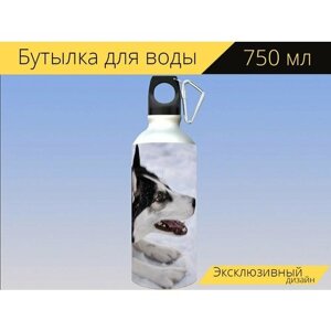 Бутылка фляга для воды "Хаски, собака, сибирский хаски" 750 мл. с карабином и принтом
