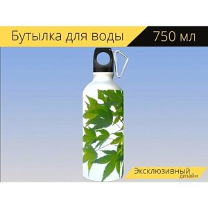 Бутылка фляга для воды "Клен, лист, кленовая ветка" 750 мл. с карабином и принтом