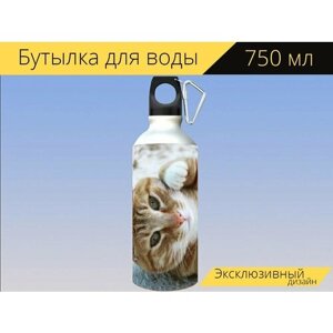 Бутылка фляга для воды "Кошка, котенок, полосатый" 750 мл. с карабином и принтом