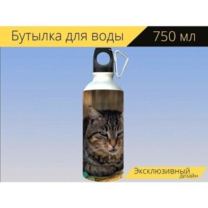 Бутылка фляга для воды "Кошка, тигр, feline" 750 мл. с карабином и принтом