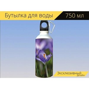 Бутылка фляга для воды "Крокус, семья ирисов, фиолетовый" 750 мл. с карабином и принтом