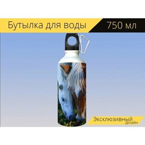 Бутылка фляга для воды "Лошади, коричневая лошадь, белая лошадь" 750 мл. с карабином и принтом