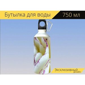 Бутылка фляга для воды "Лютик, цвести, белый" 750 мл. с карабином и принтом