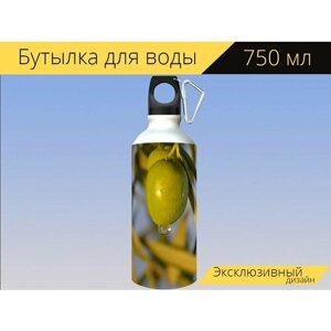 Бутылка фляга для воды "Оливковый, масло, земля" 750 мл. с карабином и принтом