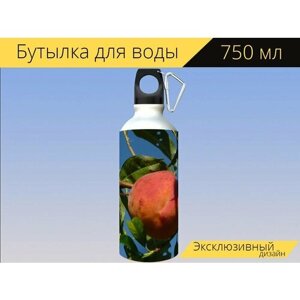 Бутылка фляга для воды "Персик, фрукты, персиковое дерево" 750 мл. с карабином и принтом