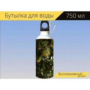 Бутылка фляга для воды "Пейзажи, япония, дом" 750 мл. с карабином и принтом