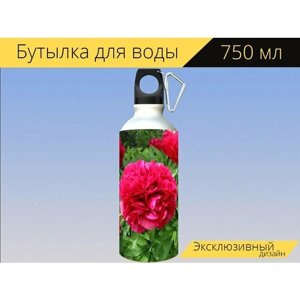 Бутылка фляга для воды "Пионы, красный, летом" 750 мл. с карабином и принтом