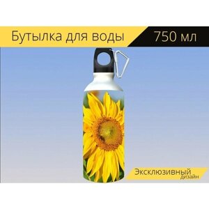Бутылка фляга для воды "Подсолнух, цветок, лепестки" 750 мл. с карабином и принтом