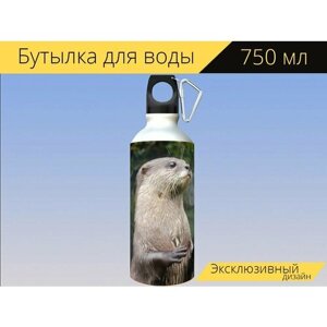 Бутылка фляга для воды "Выдра, животное, милый" 750 мл. с карабином и принтом