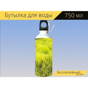 Бутылка фляга для воды "Зеленый, трава, поле" 750 мл. с карабином и принтом