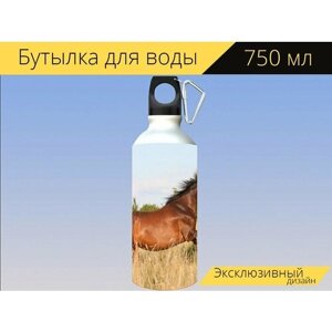 Бутылка фляга для воды "Животное, лошади, свобода" 750 мл. с карабином и принтом
