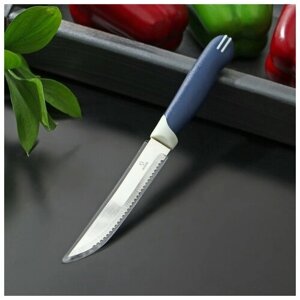 Доляна Нож для мяса Доляна «Страйп», зубчатое лезвие 11,5 см, цвет синий