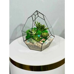 Флорариум с суккулентами / Комнатные растения в вазе / Подарок женщине