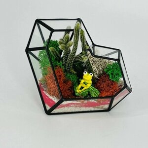 Флорариум сердце-бриллиант с кактусами