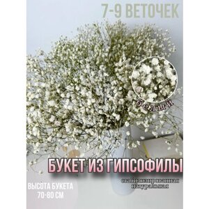 Гипсофилы букет сухоцветы для декора цветы стабилизированные 7-9