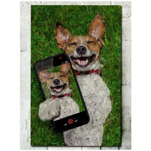 Картина интерьерная на рельефной доске животные (собаки, джек - расселл, селфи) - 704