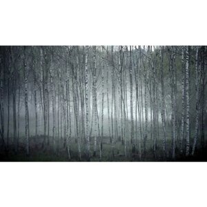 Картина на холсте 60x110 Альянс Лес "Туман берёзы роща" на подрамнике / интерьер/ декор