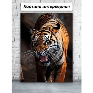 Картина на стену / Картина для интерьера 40х60 Тигр Животное