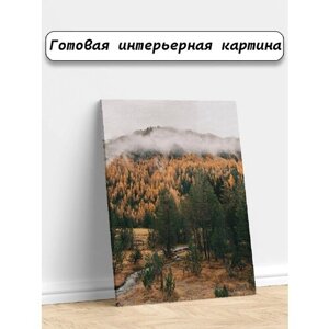 Картины для интерьера 40х60 Природа лес пейзаж;