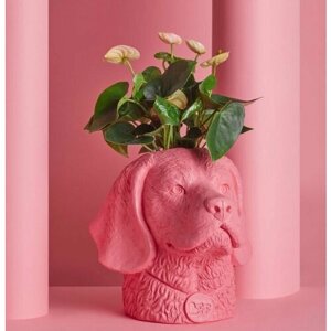 Кашпо для цветов в виде собаки BFF Special Pink Beagle