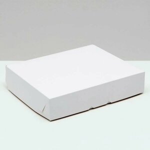 Кондитерская упаковка без окна, белая, 24 х 21 х 5 см