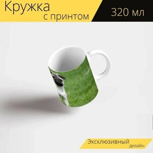 Кружка с рисунком, принтом "Мопс, луг, собака" 320 мл.