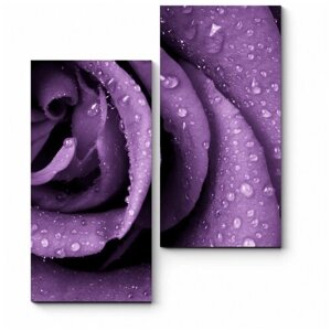 Модульная картина Фиолетовая роза 60x75