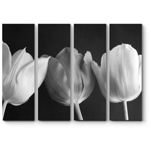 Модульная картина Монохромные тюльпаны 110x83
