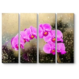 Модульная картина Роскошная орхидея 60x45