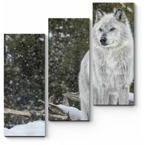 Модульная картина Серый волк 60x64