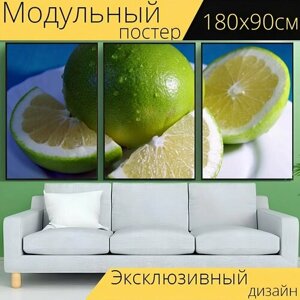 Модульный постер "Грейпфрут, фрукты, цитрусовые" 180 x 90 см. для интерьера