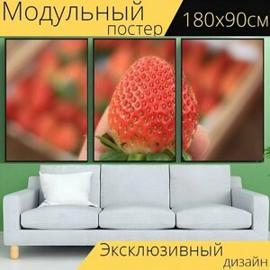 Модульный постер "Клубника, ферма, фрукты" 180 x 90 см. для интерьера