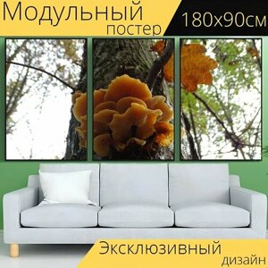 Модульный постер "Осень, гриб, вуд" 180 x 90 см. для интерьера