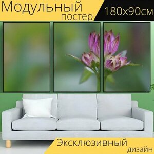 Модульный постер "Весна, цветок, природа" 180 x 90 см. для интерьера